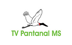 TV Pantanal MS