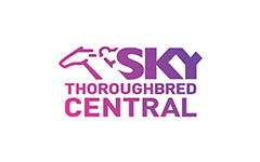 Sky Thoroughbred 