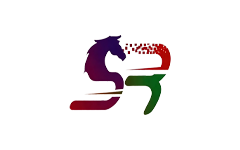 四王子旗电视台